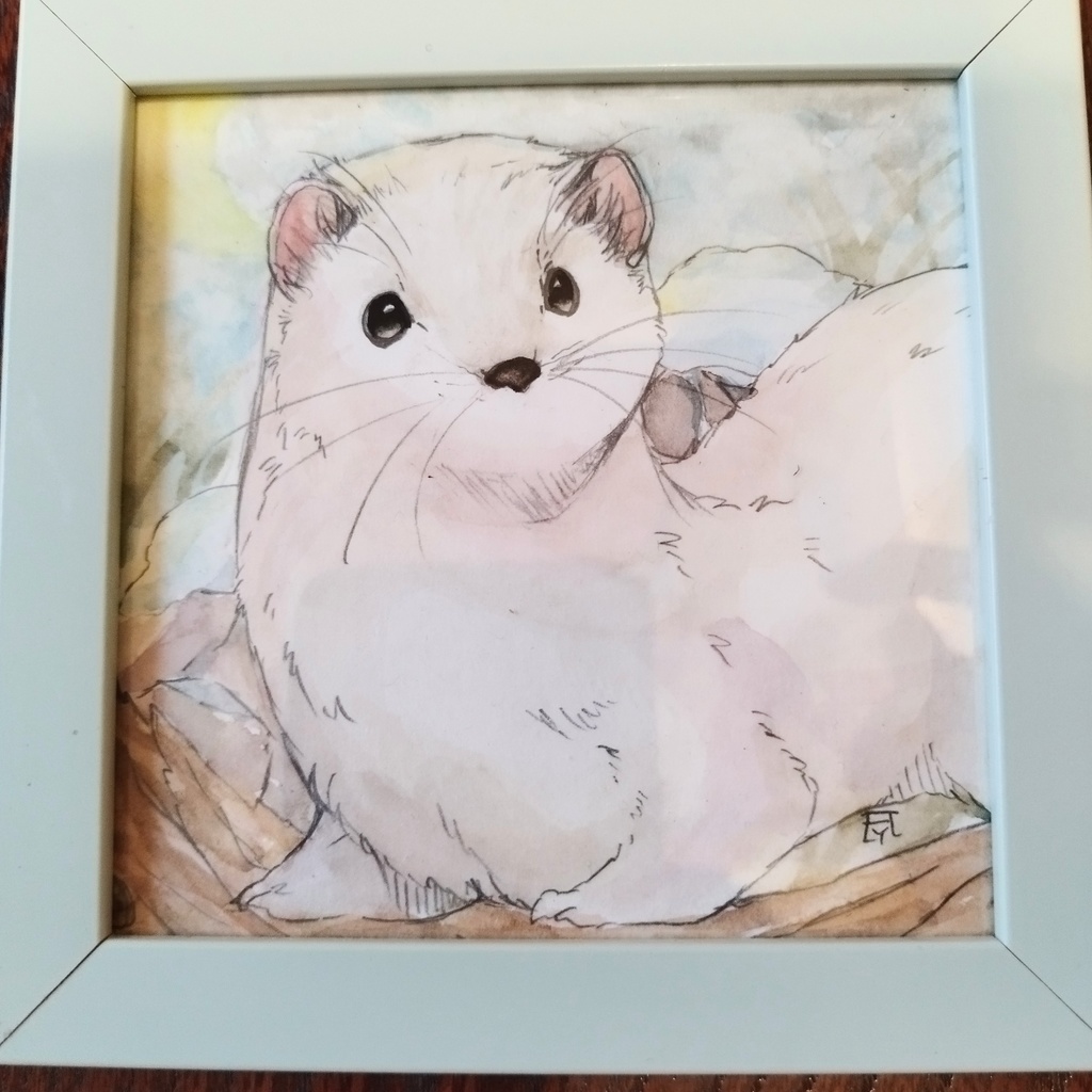 オコジョ 透明水彩イラスト原画 - ふるふる工房 - BOOTH
