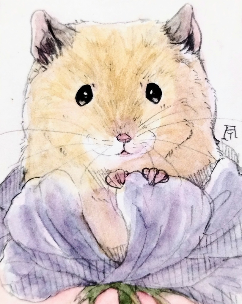 キンクマ 透明水彩イラスト原画