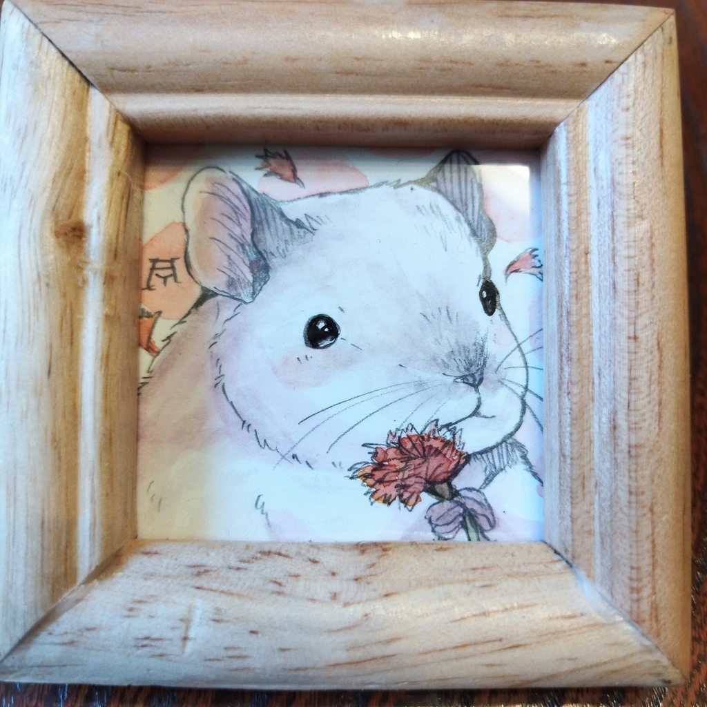 チンチラ/ミーアキャット 透明水彩イラスト原画