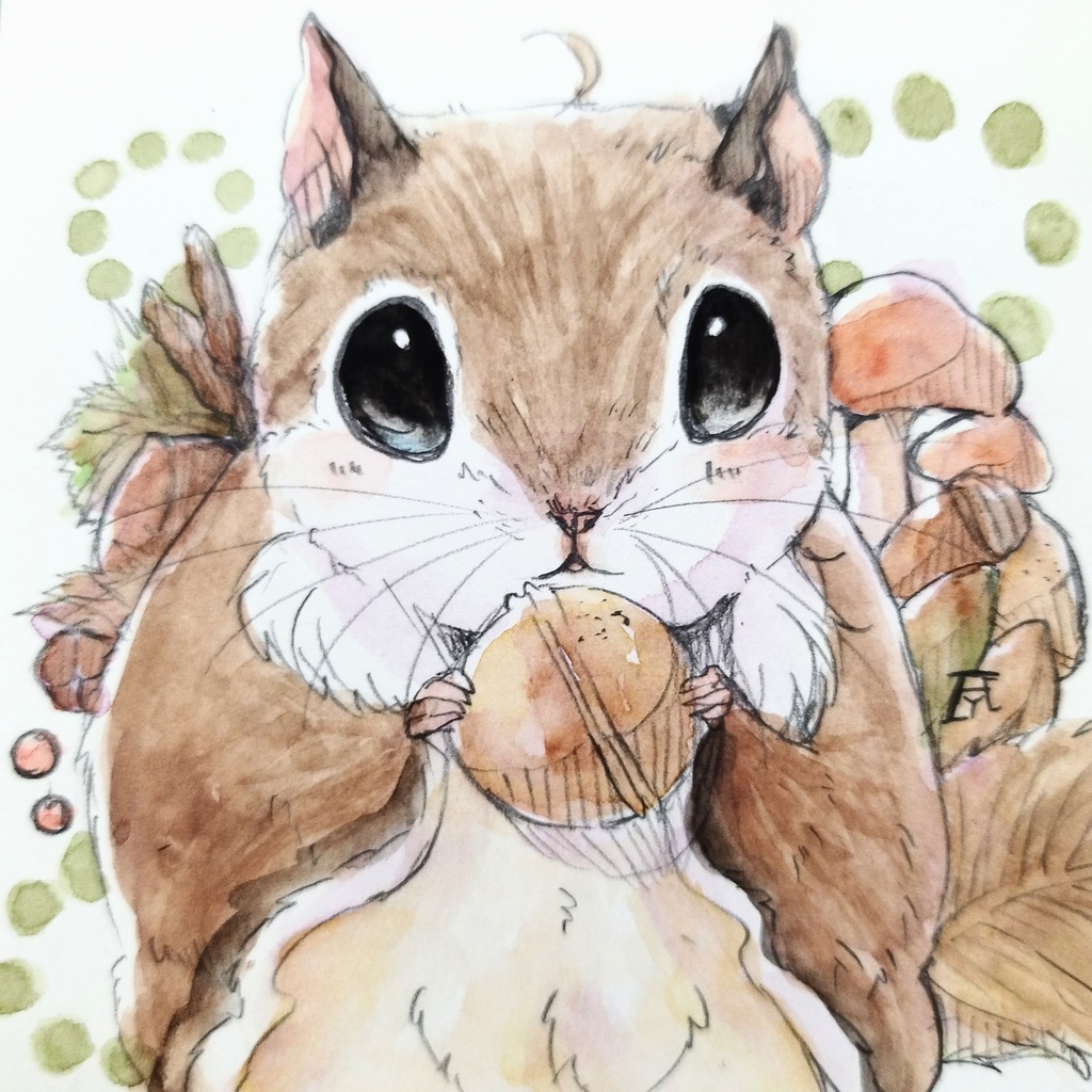 アメリカモモンガ　透明水彩イラスト原画