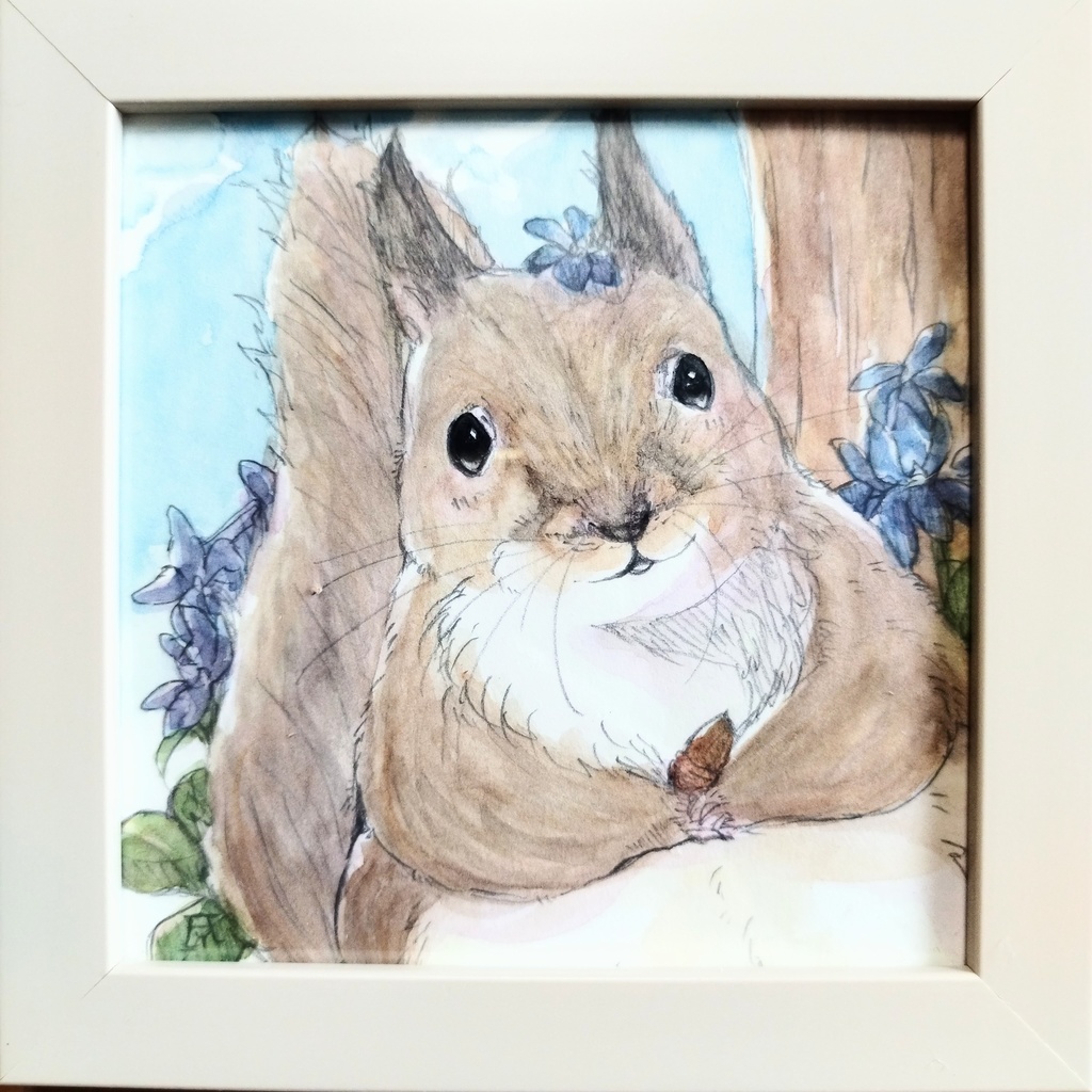 エゾリスとエゾエンゴサク