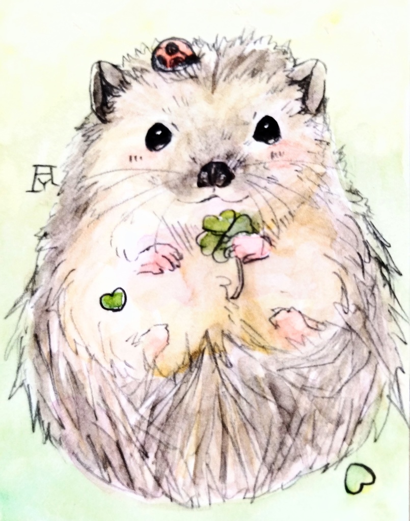 デグー/ハリネズミ 透明水彩イラスト原画