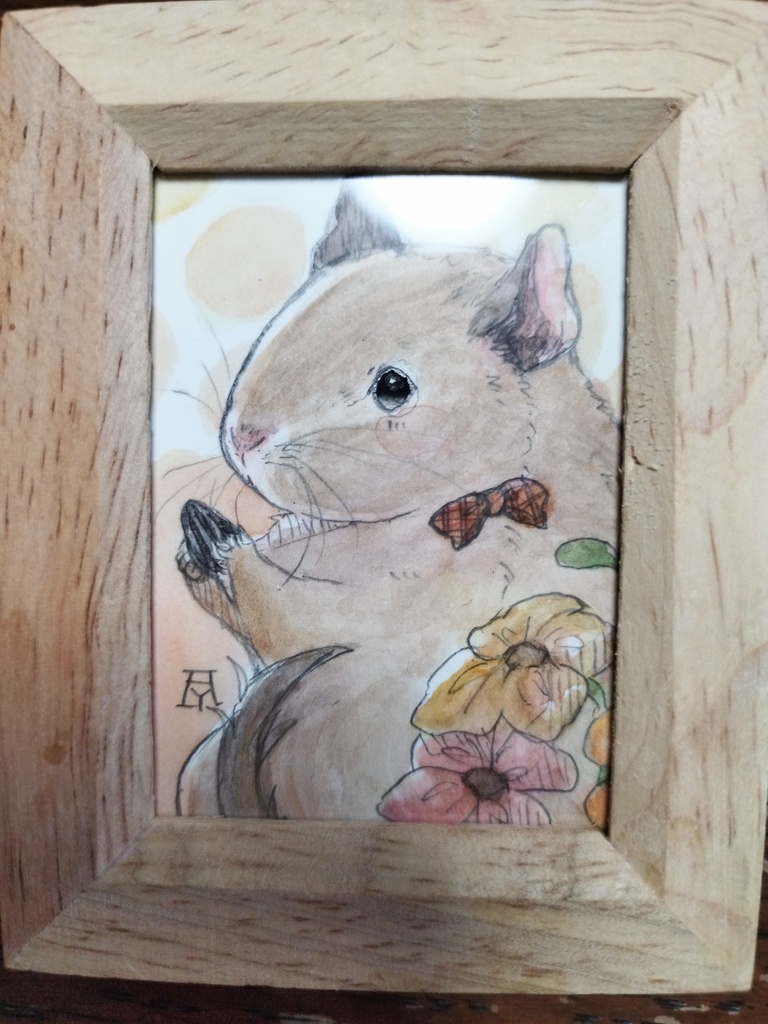 デグー/ハリネズミ 透明水彩イラスト原画