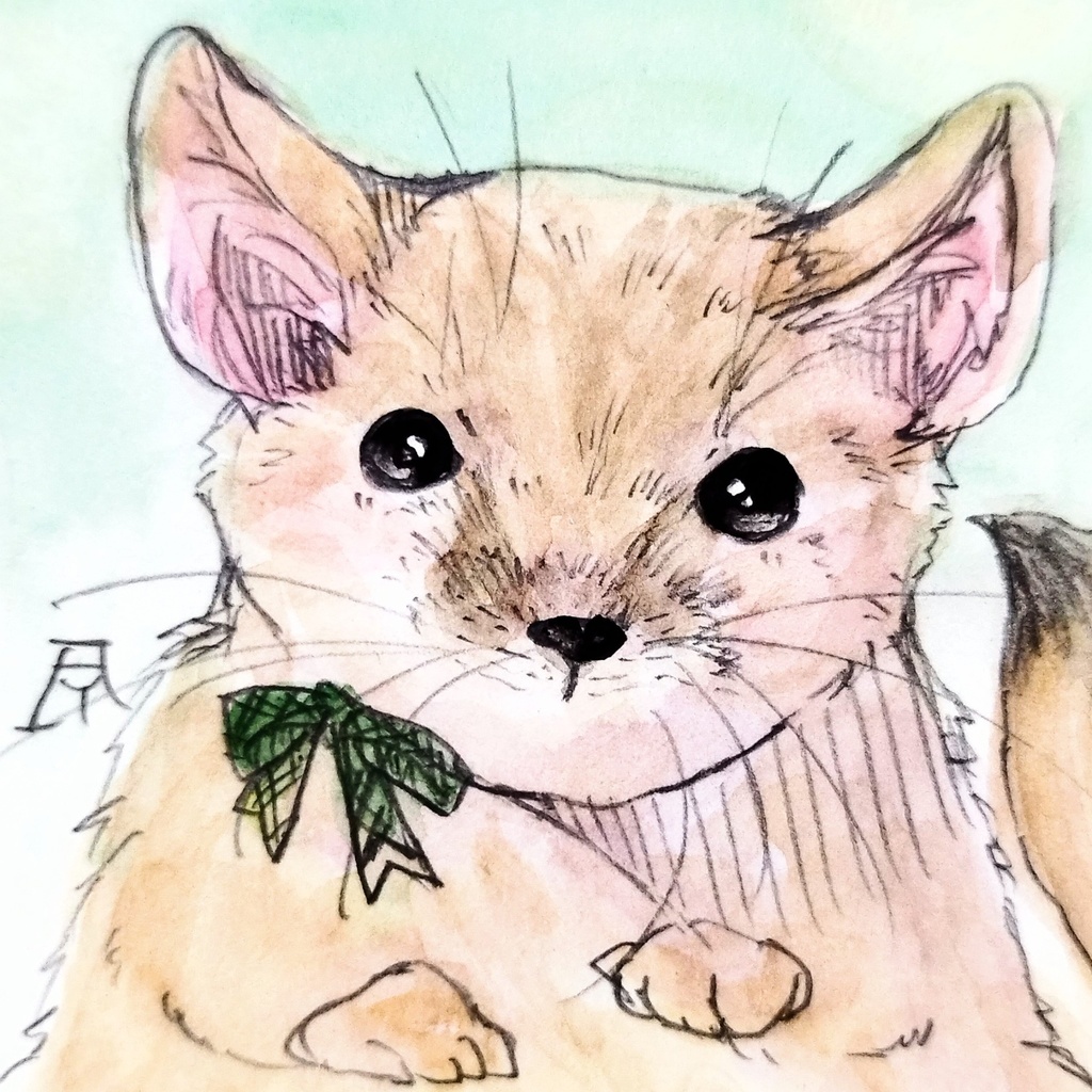 ハムスター/フェネック 透明水彩イラスト原画