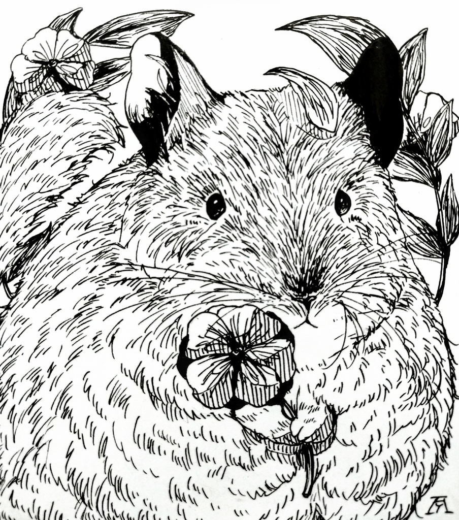 カモノハシ/チンチラ ペン画原画