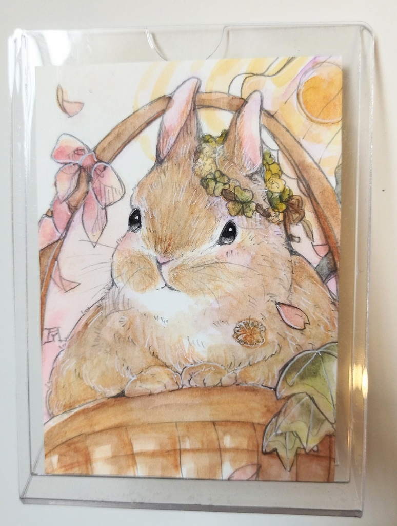 透明水彩イラスト原画 うさぎ フクロモモンガ