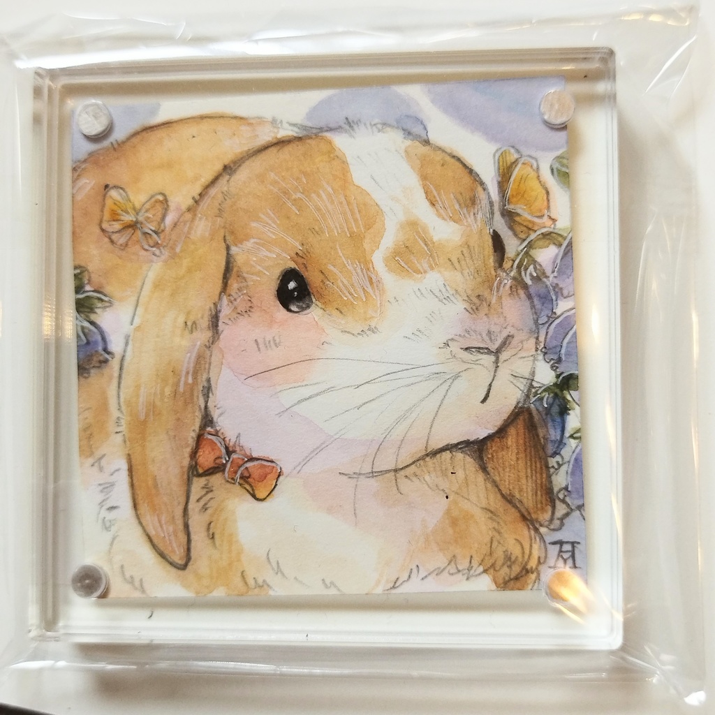 透明水彩イラスト原画 フクロモモンガ キンクマなど