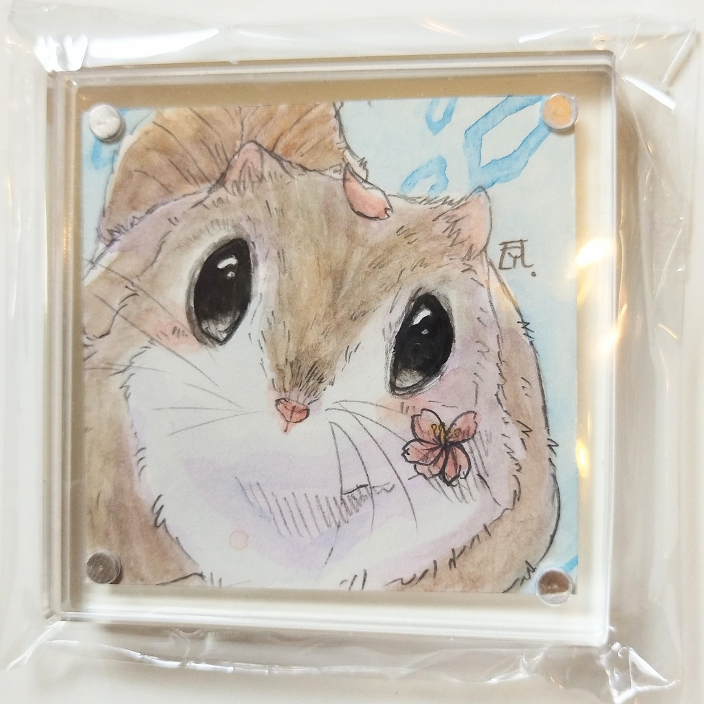 透明水彩イラスト原画 フクロモモンガ キンクマなど