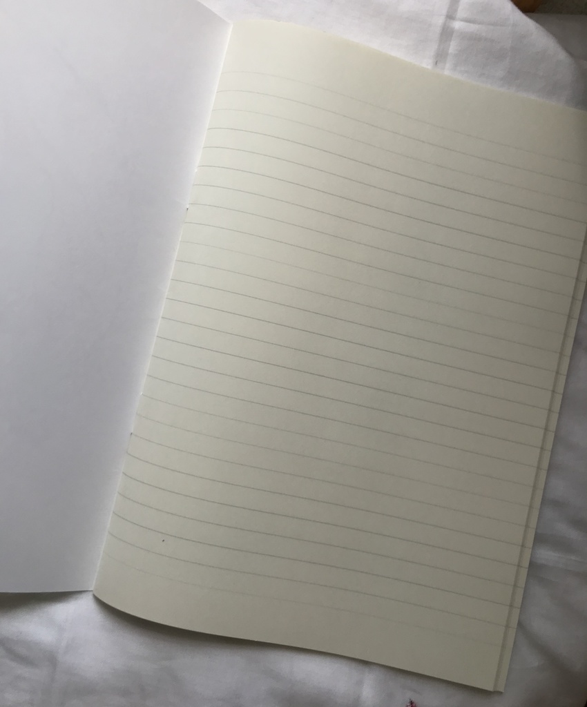 新サクラ大戦 クラリスのノート