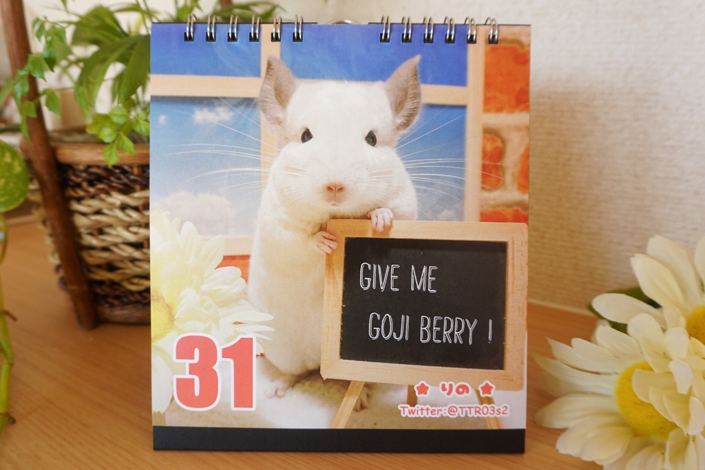 【2019年版】チンチラ日めくりカレンダー【No.1】