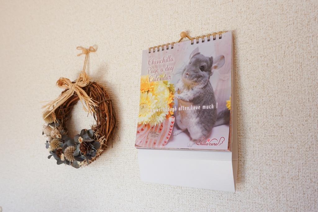 【2019年版】チンチラ日めくりカレンダー【No.1】