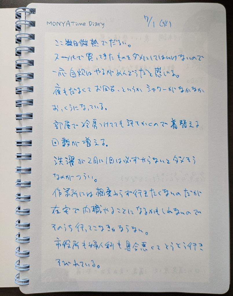 もにゃタイムダイアリー【体調管理、日付フリー100ページ】