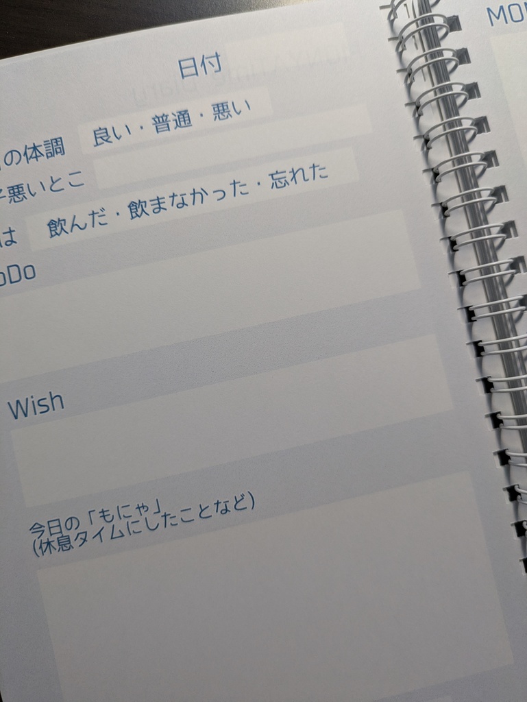 もにゃタイムダイアリー シンプル【体調管理、日付フリー100ページ】