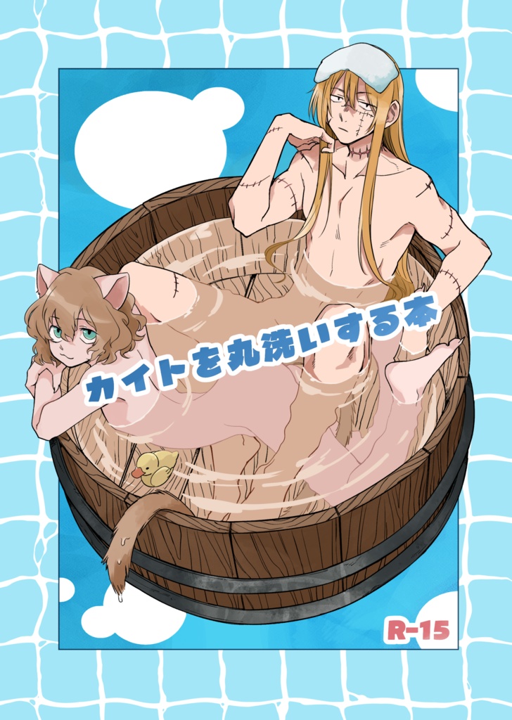 カイトを丸洗いする本