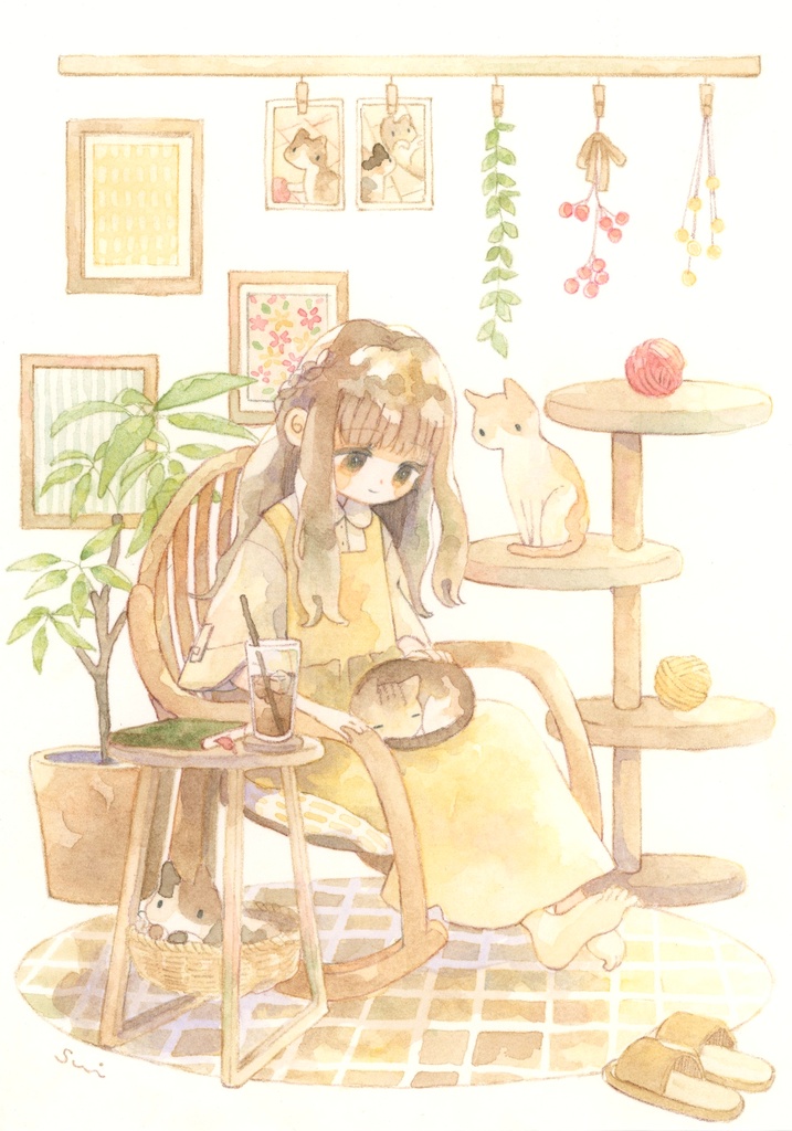 猫のいる暮らし