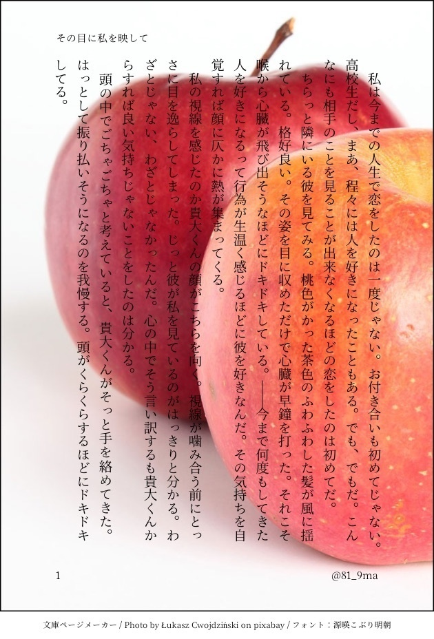 小説オーダー承ります。