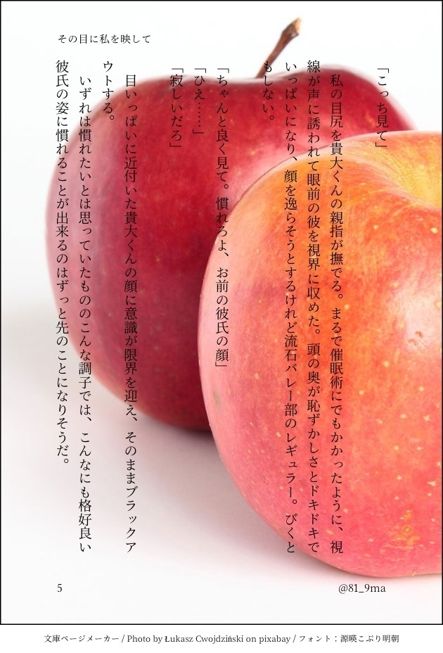 小説オーダー承ります。