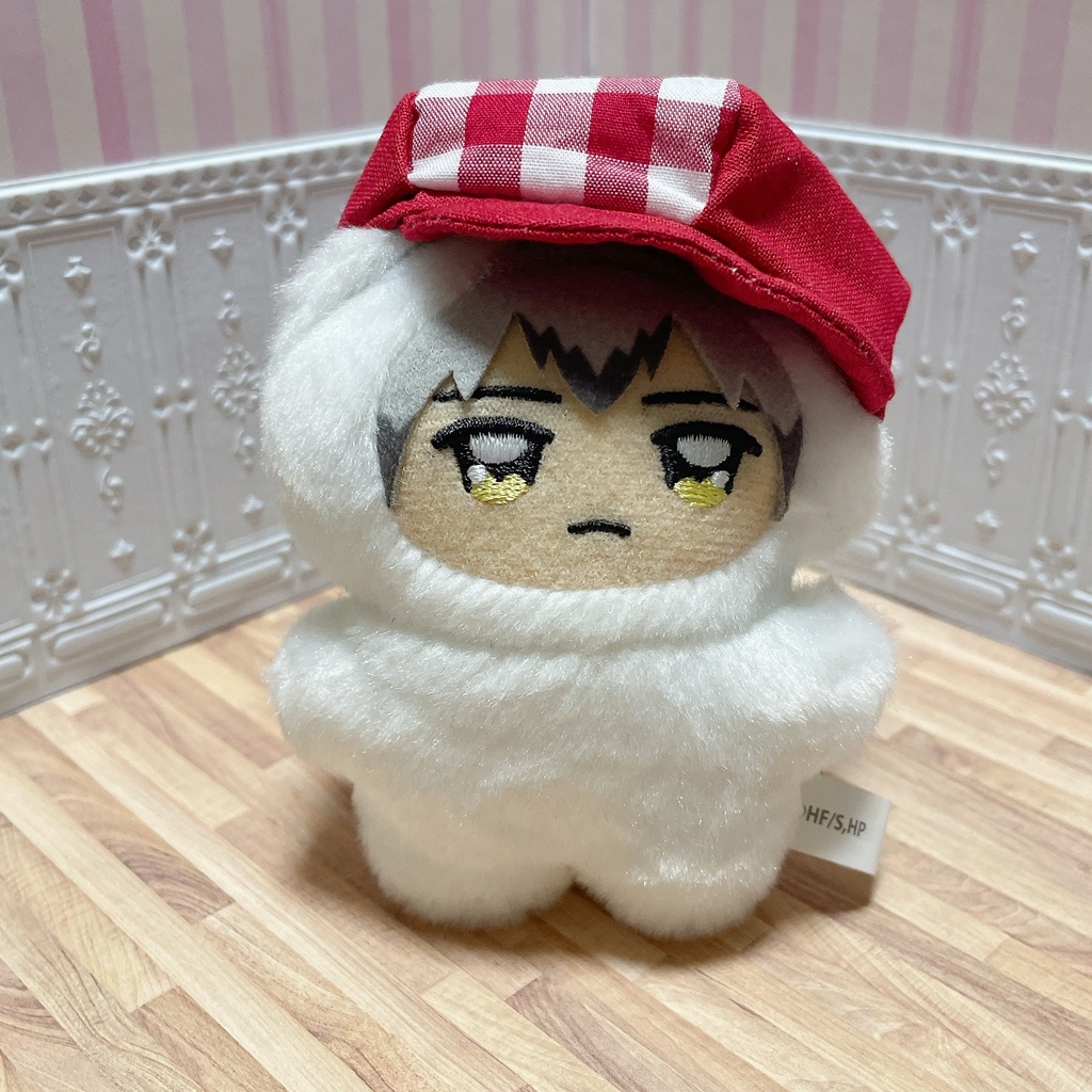 【リニューアル】ぬい用キャスケット