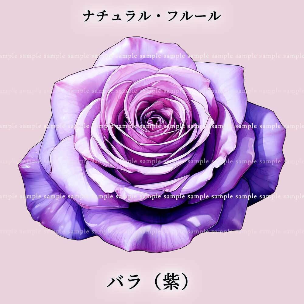 【透過PNG素材】ナチュラル・フルール/16or8点セット