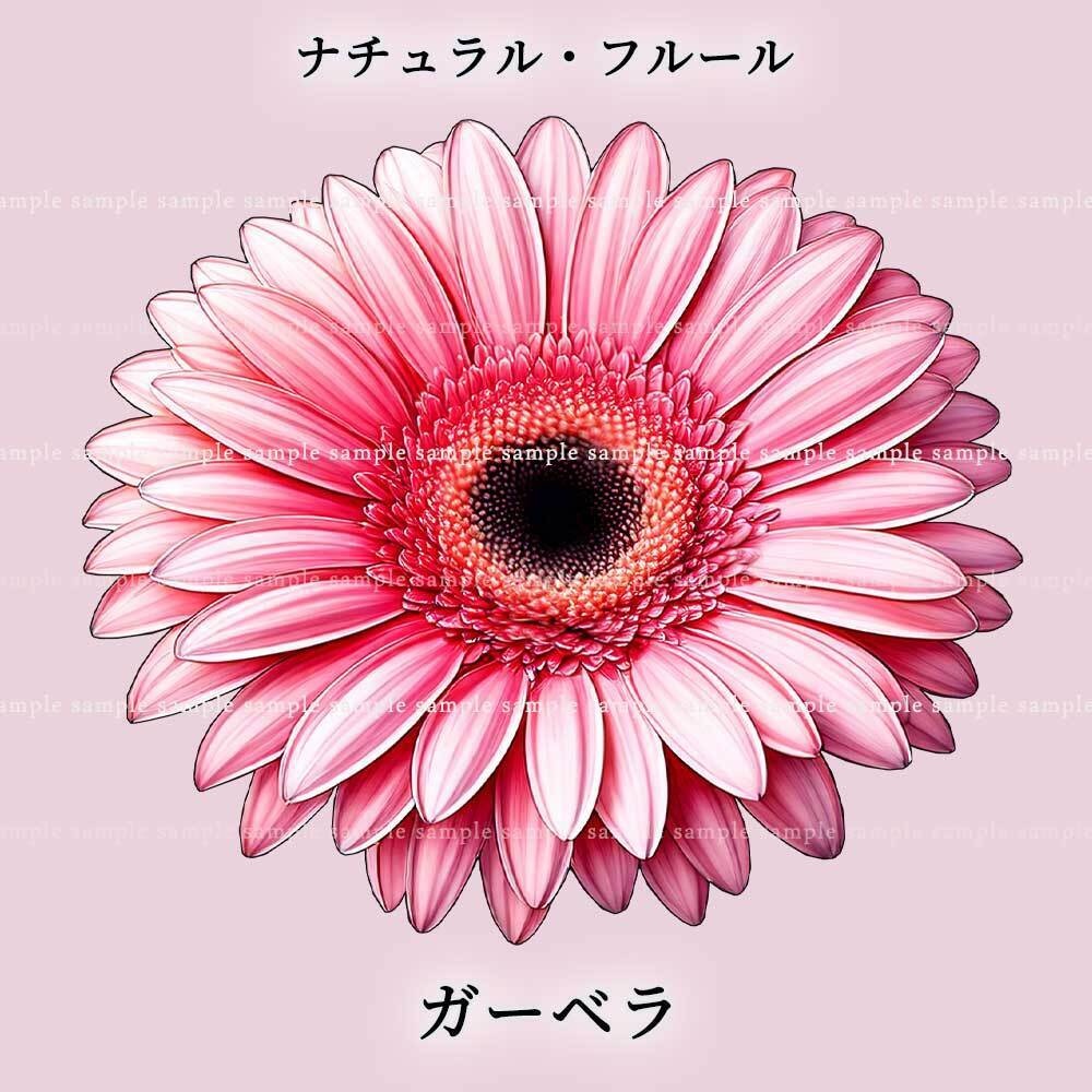 【透過PNG素材】ナチュラル・フルール/16or8点セット
