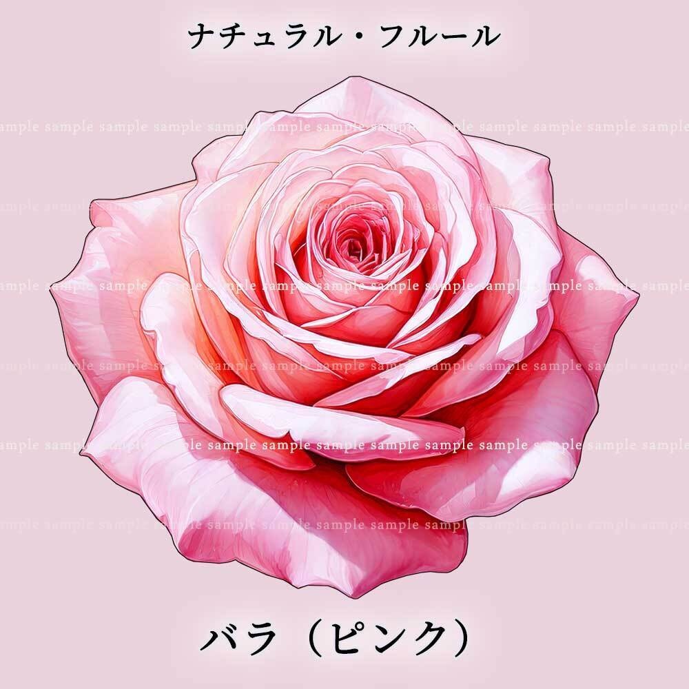 【透過PNG素材】ナチュラル・フルール/16or8点セット