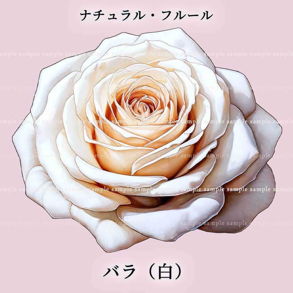 【透過PNG素材】ナチュラル・フルール/16or8点セット