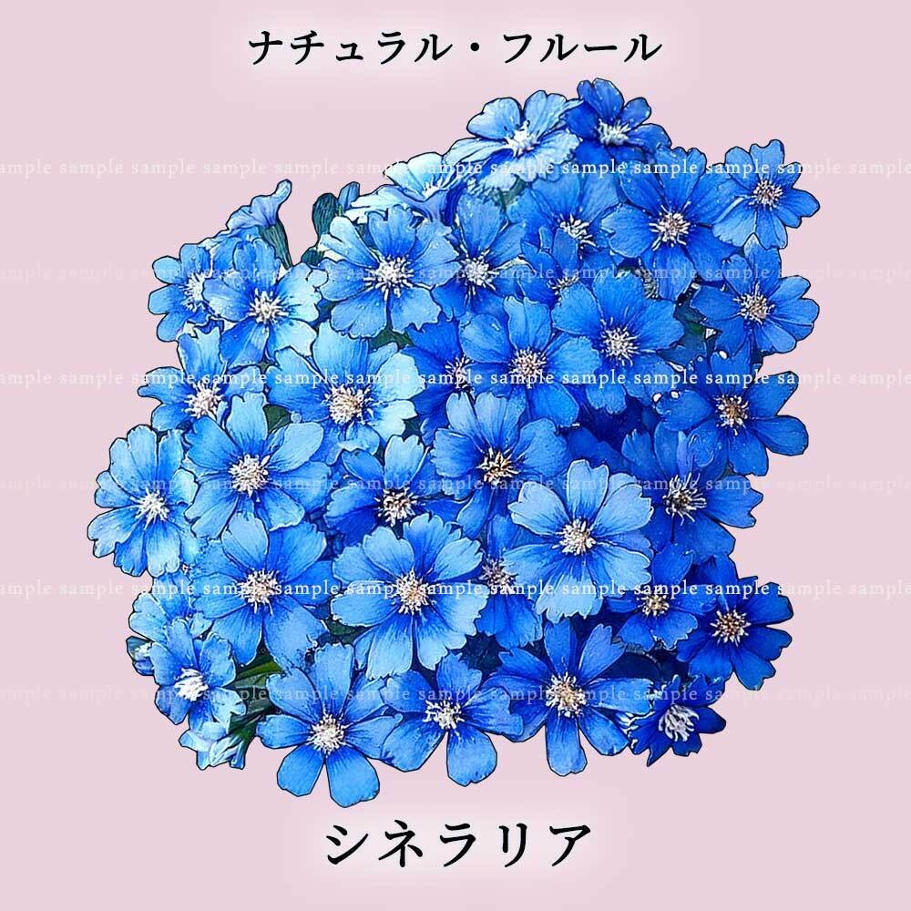 【透過PNG素材】ナチュラル・フルール/16or8点セット