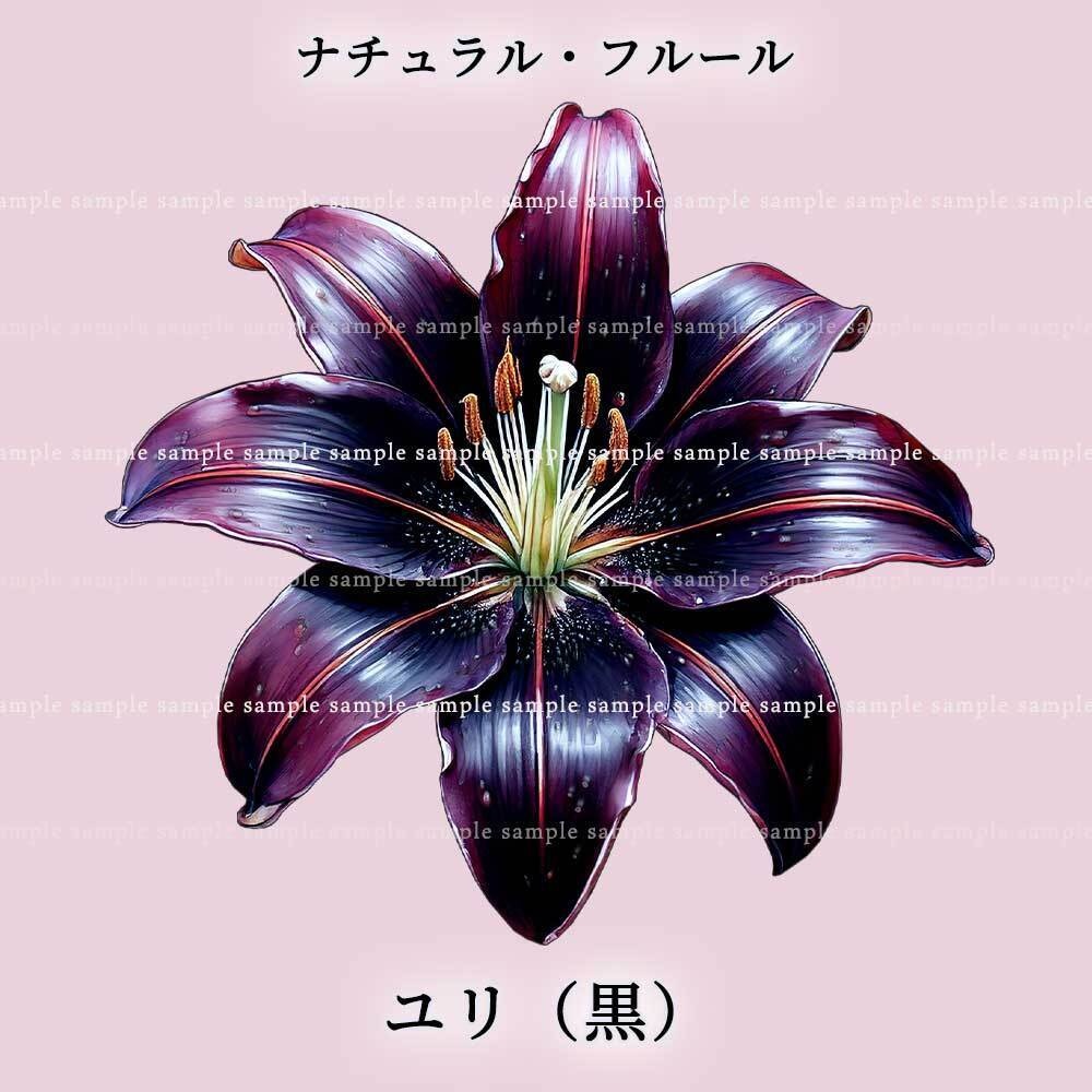 【透過PNG素材】ナチュラル・フルール/16or8点セット