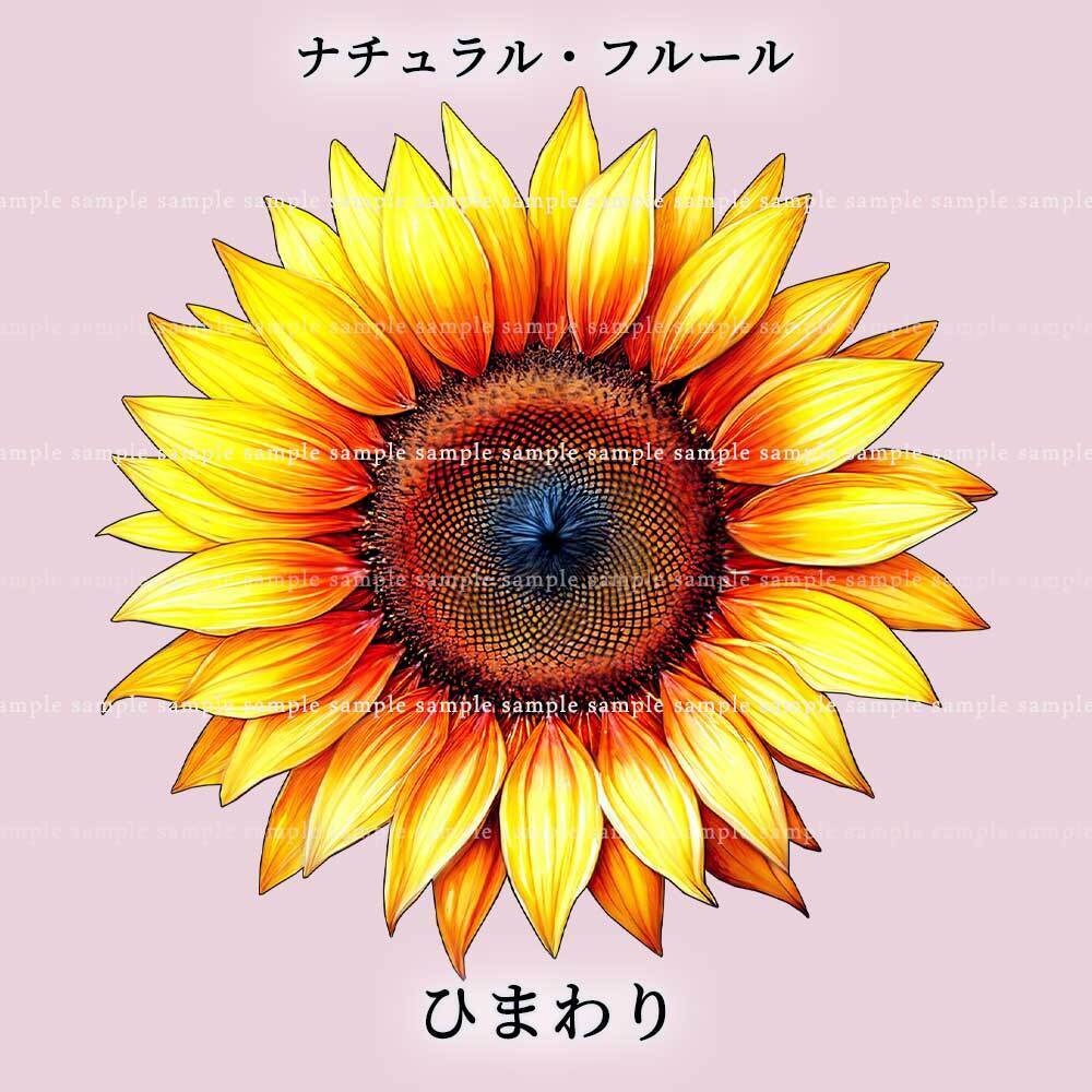 【透過PNG素材】ナチュラル・フルール/16or8点セット