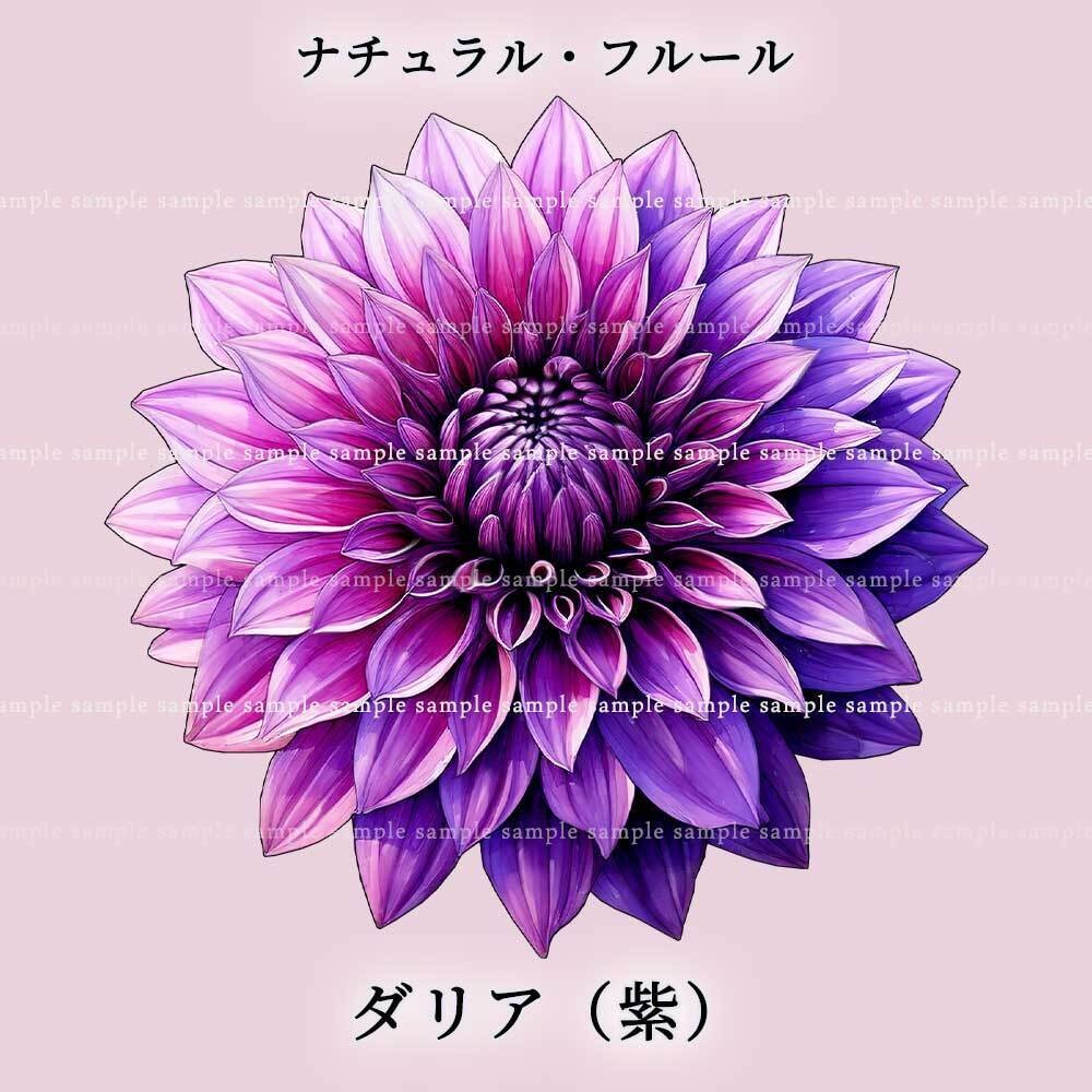 【透過PNG素材】ナチュラル・フルール/16or8点セット