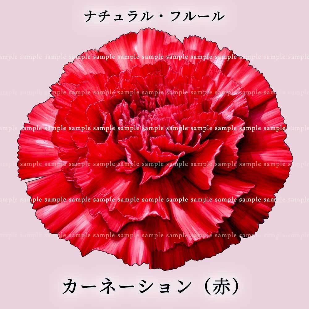 【透過PNG素材】ナチュラル・フルール/16or8点セット