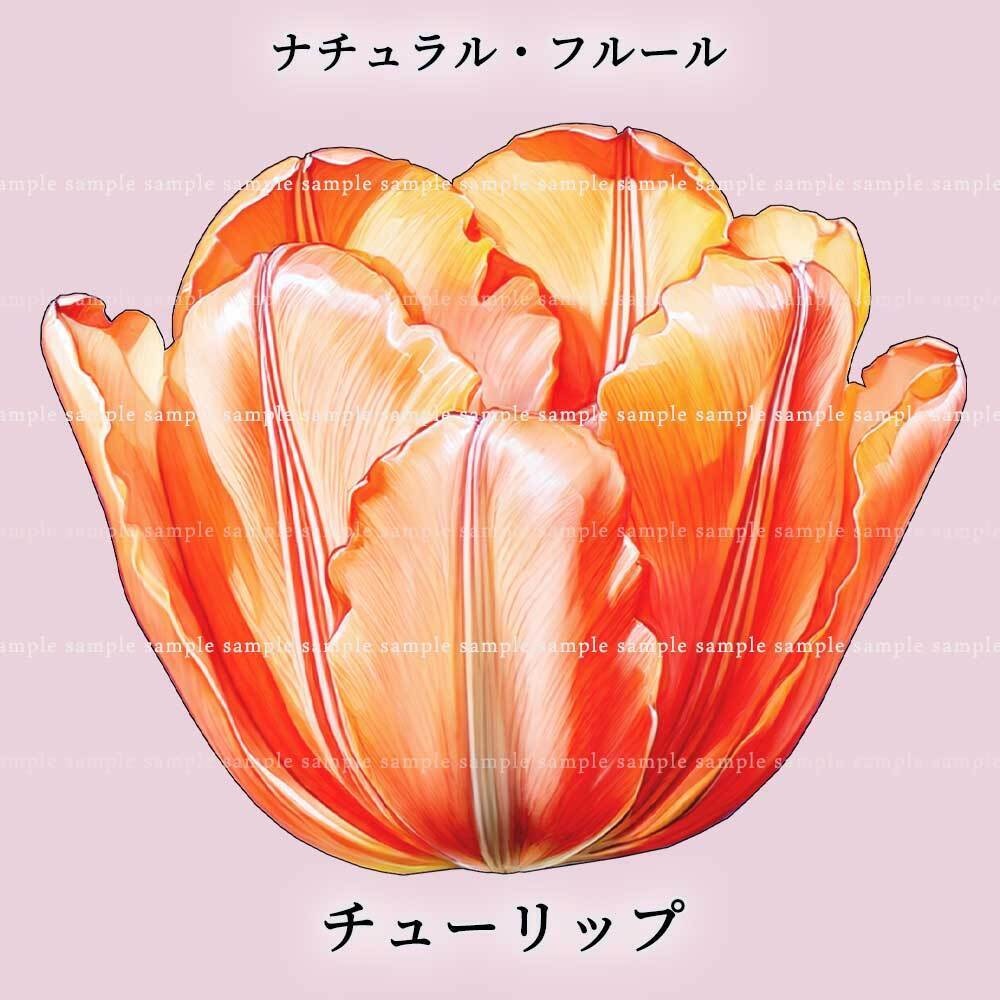 【透過PNG素材】ナチュラル・フルール/16or8点セット