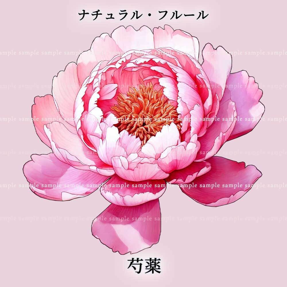 【透過PNG素材】ナチュラル・フルール/16or8点セット