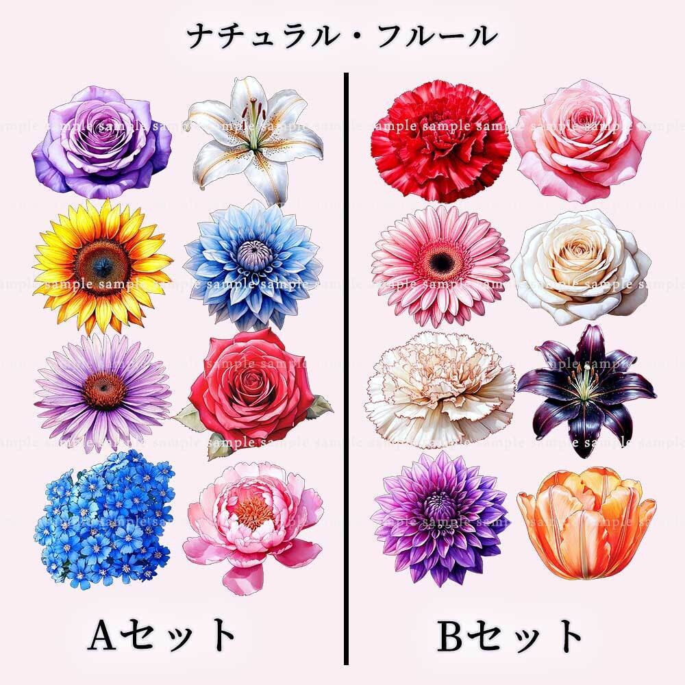【透過PNG素材】ナチュラル・フルール/16or8点セット