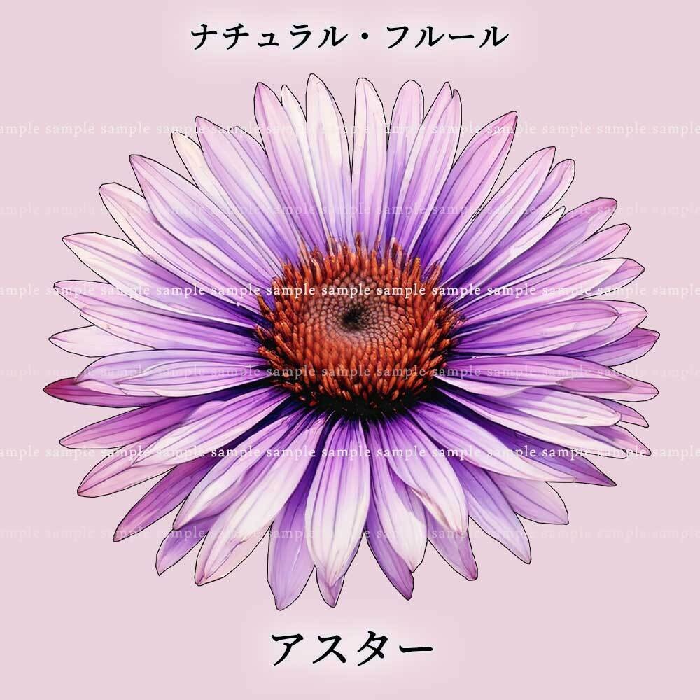 【透過PNG素材】ナチュラル・フルール/16or8点セット