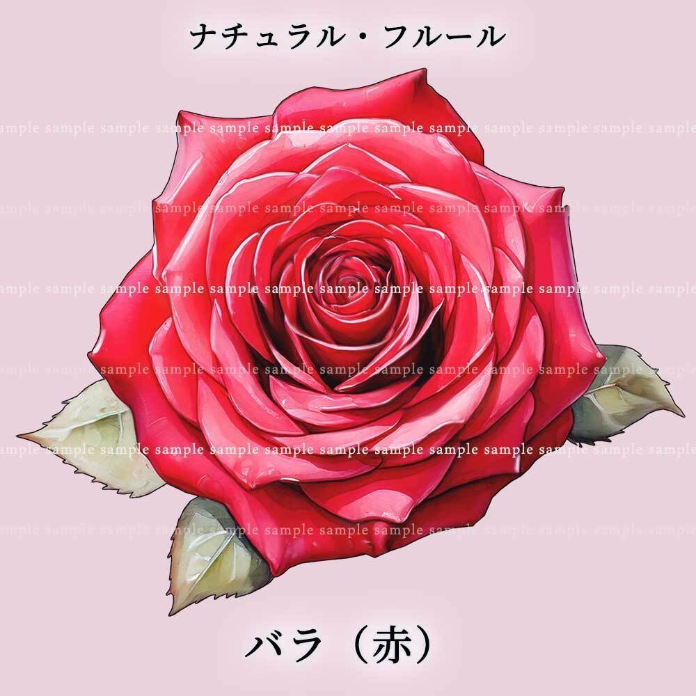 【透過PNG素材】ナチュラル・フルール/16or8点セット