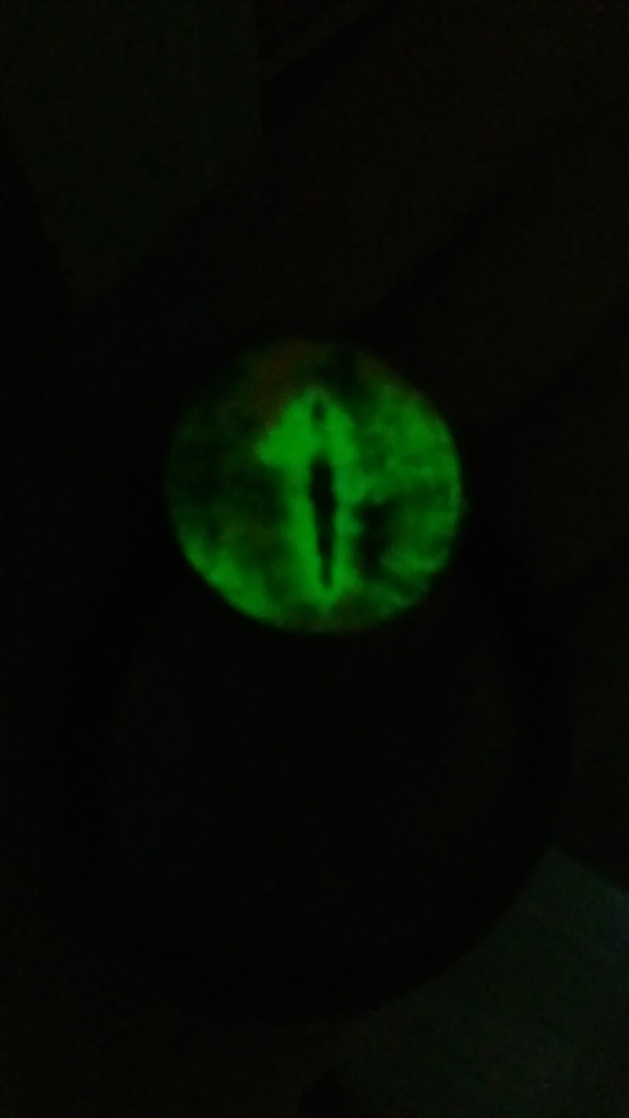 【暗闇で光る!】ドラゴンの目のヘアゴム