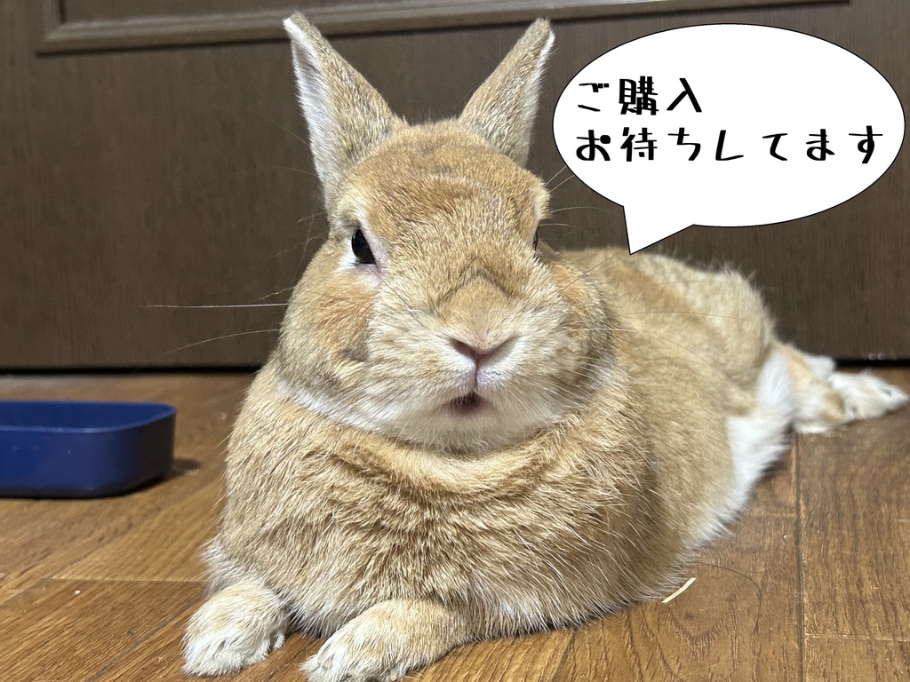 きなこフラットホーン(ナルディ)