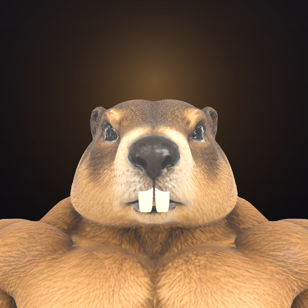 マッスルマーモット / Muscle Marmot