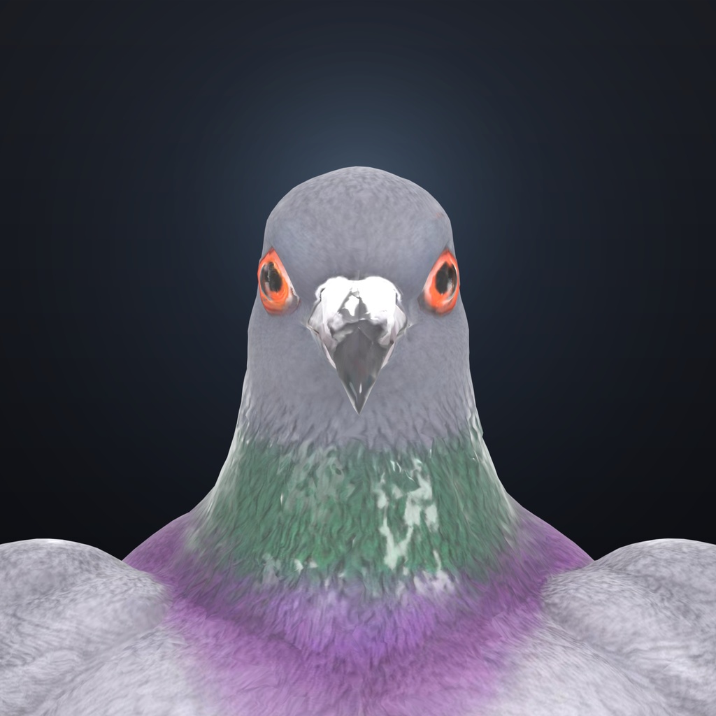 マッスル鳩 / Muscle Pigeon