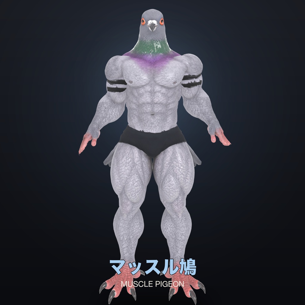 マッスル鳩 / Muscle Pigeon