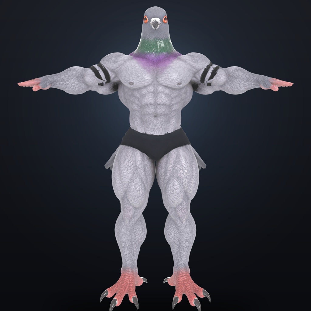 マッスル鳩 / Muscle Pigeon