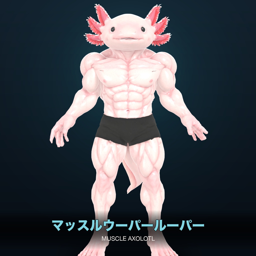 マッスルウーパールーパー / MUSCLE AXOLOTL