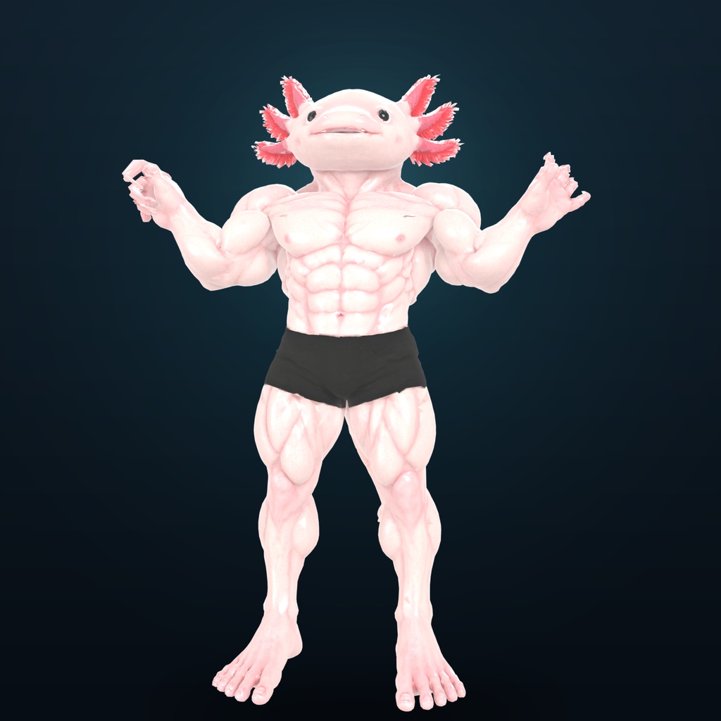 マッスルウーパールーパー / MUSCLE AXOLOTL