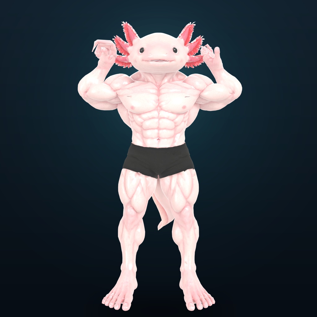 マッスルウーパールーパー / MUSCLE AXOLOTL