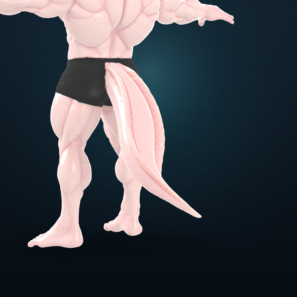 マッスルウーパールーパー / MUSCLE AXOLOTL