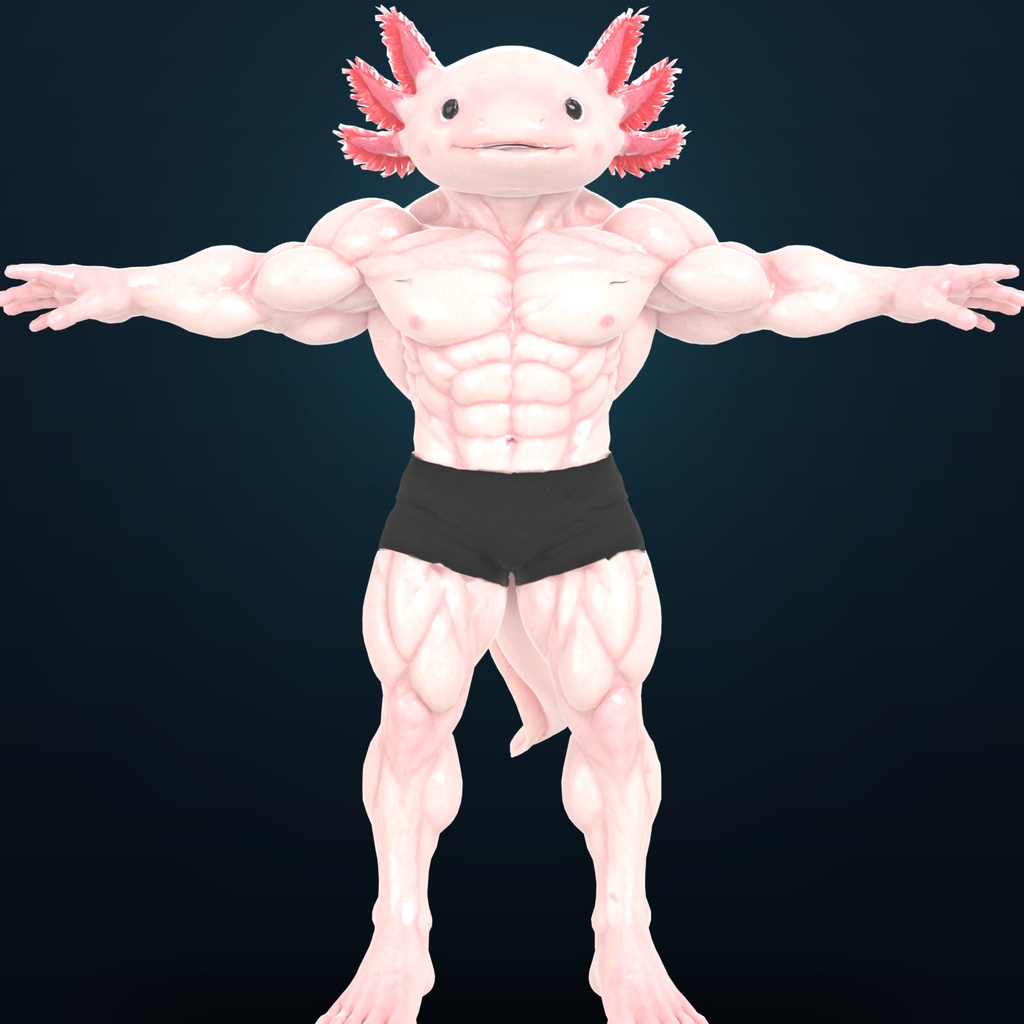 マッスルウーパールーパー / MUSCLE AXOLOTL