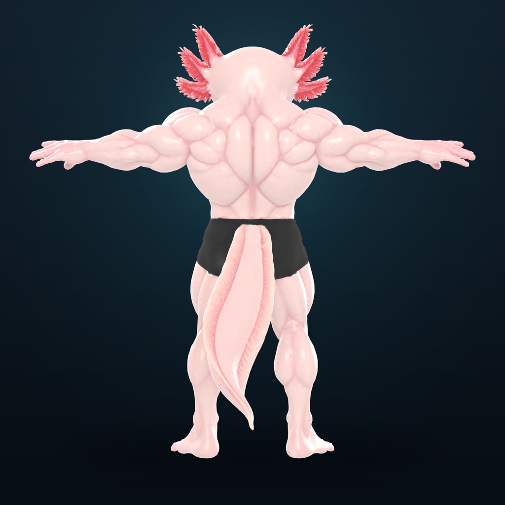 マッスルウーパールーパー / MUSCLE AXOLOTL