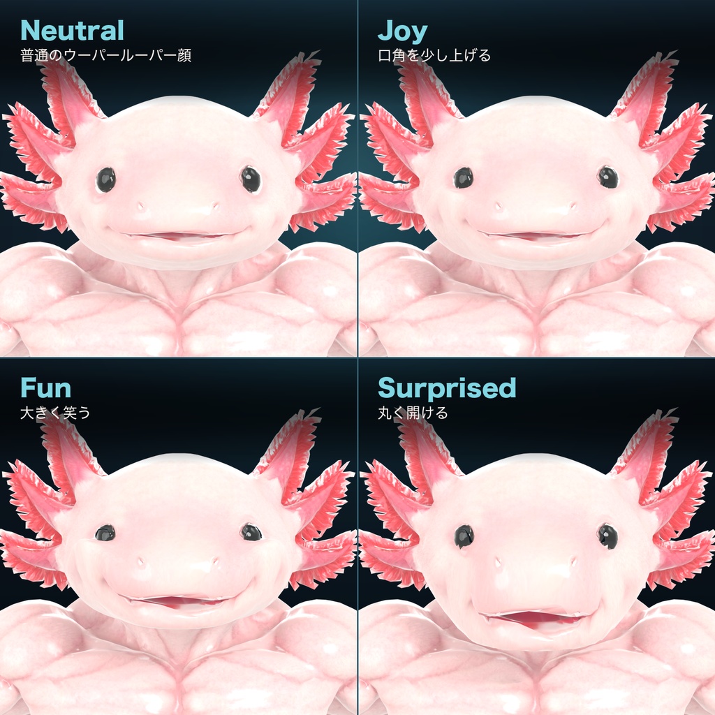 マッスルウーパールーパー / MUSCLE AXOLOTL