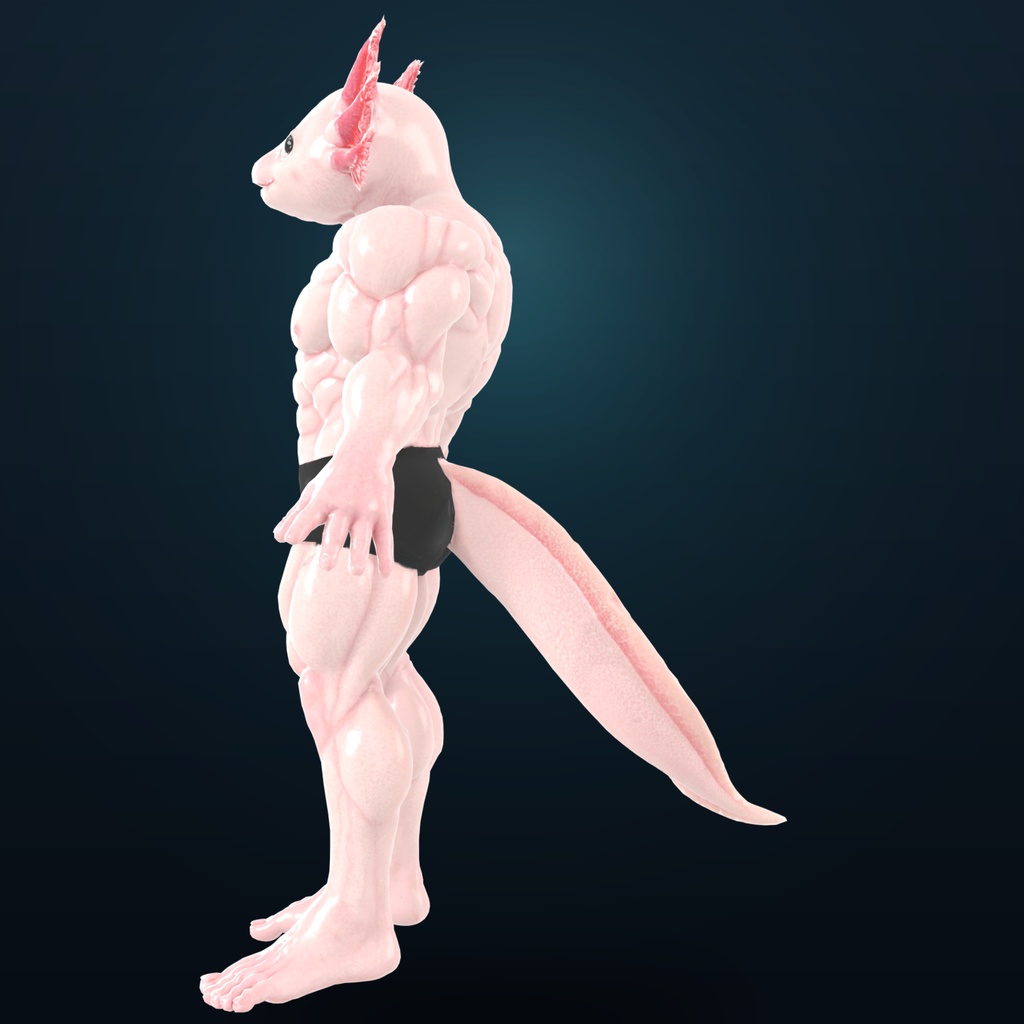 マッスルウーパールーパー / MUSCLE AXOLOTL